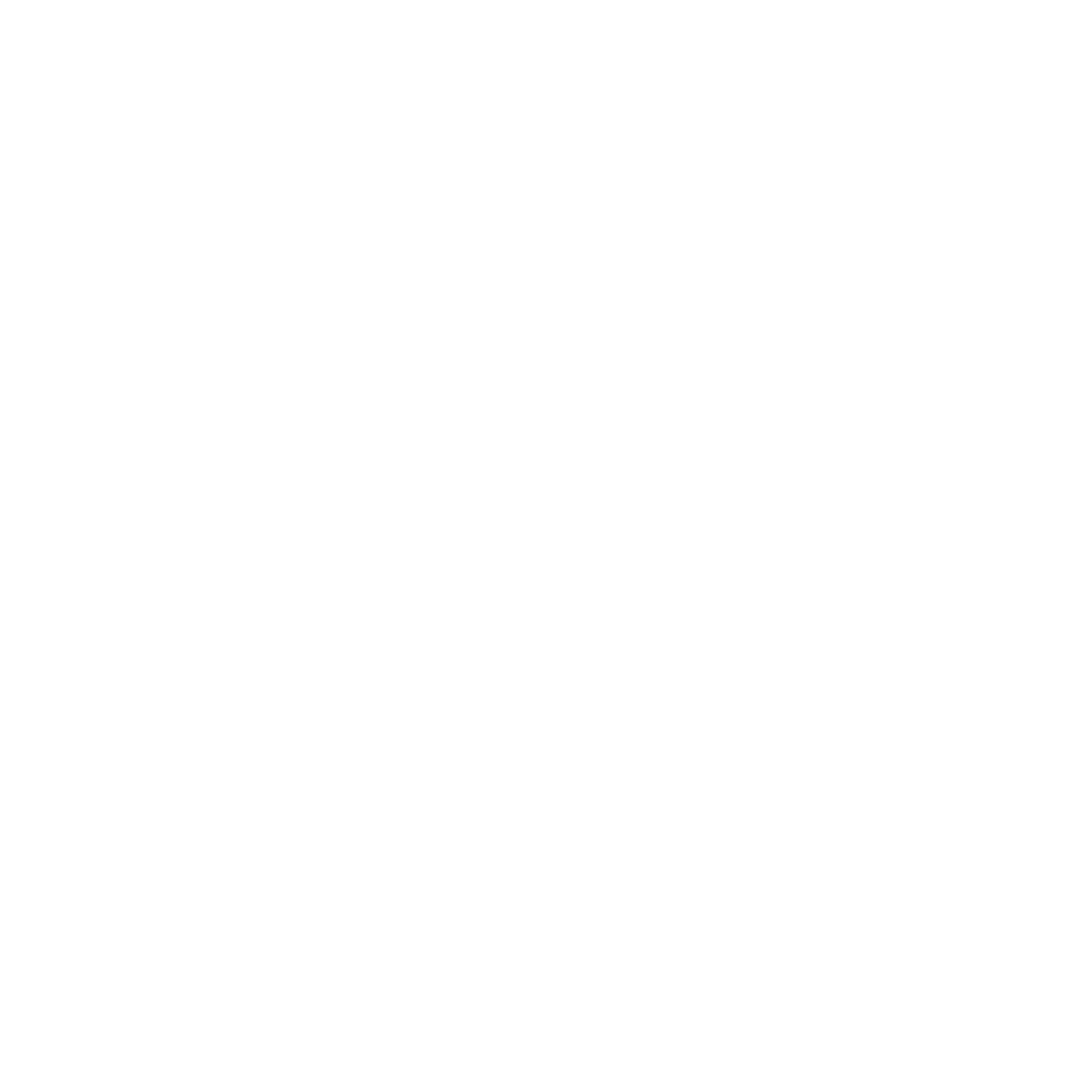Paradox Intelligence Logo